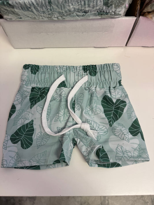 Kalo Monstera Keiki Trunks